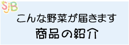 こんな野菜が届きます 商品の紹介