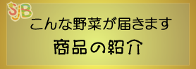 商品の紹介